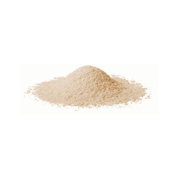 Mąka kasztanowa 20 kg BIO surowiec cena 684,19zł