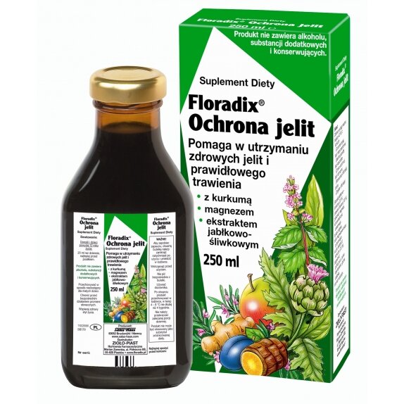 Floradix Ochrona Jelit 250 ml cena 14,31$