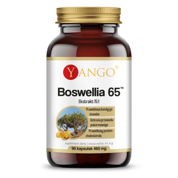 Yango Boswellia 65 90 kapsułek  cena 47,90zł