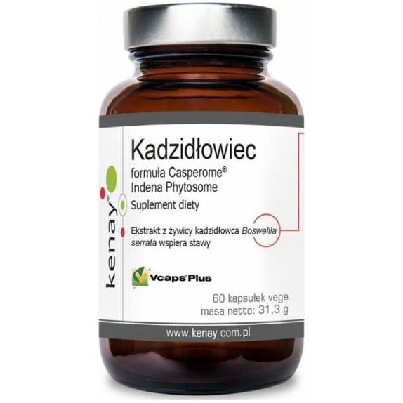 Kenay Kadzidłowiec formula Casperome® Indena Phytosome 60 kapsułek cena 67,90zł