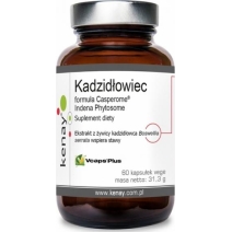 Kenay Kadzidłowiec formula Casperome® Indena Phytosome 60 kapsułek