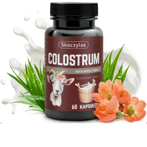 Skoczylas Colostrum siara kozia z pigwą 60 kapsułek