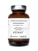 Tarczyca bajkalska 60 kapsułek Kenay