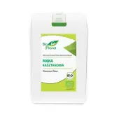 Mąka kasztanowa 250 g BIO Bio Planet 