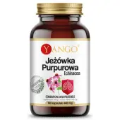 Jeżówka purpurowa echinacea 440 mg 60 kapsułek Yango 