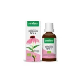 Purasana Echinacea Forte (Jeżówka Purpurowa) Krople BIO 50 ml 