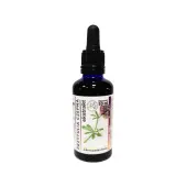Organis Przytulia czepna wyciąg 50 ml 