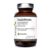 Kenay Kadzidłowiec formula Casperome® Indena Phytosome 60 kapsułek