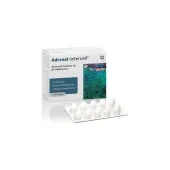 Mito-Pharma Adrenal-Intercell 120kapsułek