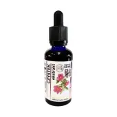 Organis Czystek wyciąg 50ml