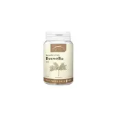 Nanga Boswellia 100 kapsułek