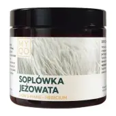 MYQO Soplówka Jeżowata Lion's Mane Hericium Ekstrakt 500 mg 90 kapsułek