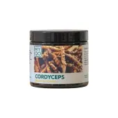 MYQO Cordyceps Sinensis (maczużnik chiński) 90 kapsułek