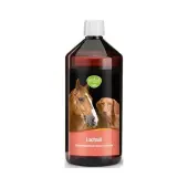 Tierlieb Olej z łososia atlantyckiego 1000 ml