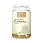 Nanga Cordyceps 500 mg 100 kapsułek