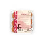 Śliwka umeboshi 150 g BIO Terrasana 