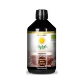 Napój probiotyczny kurkuma imbir pieprz 500 ml BIO Joy Day 
