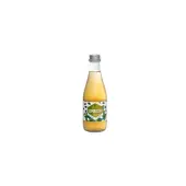 Kombucha healthy sencha BIO 330ml Kombucha by Laurent