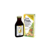 Floradix Witamina B Complex 250 ml