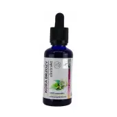 Kora brzozy ekstrakt - wyciąg mikrocząsteczkowy 50 ml Organis