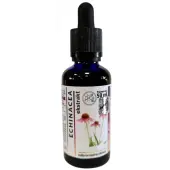 Organis Echinacea jeżówka wyciąg mikrocząsteczkowy 50 ml 