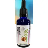 Organis Czaga wyciąg 50 ml 