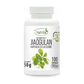 NatVita Jiaogulan 500 mg 100 kapsułek 