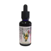 Organis Liść Oliwki wyciąg 50ml