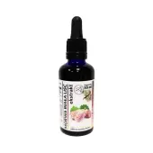 Organis Morwa biała liść wyciąg 50ml