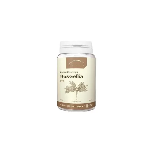 Nanga Boswellia 100 kapsułek