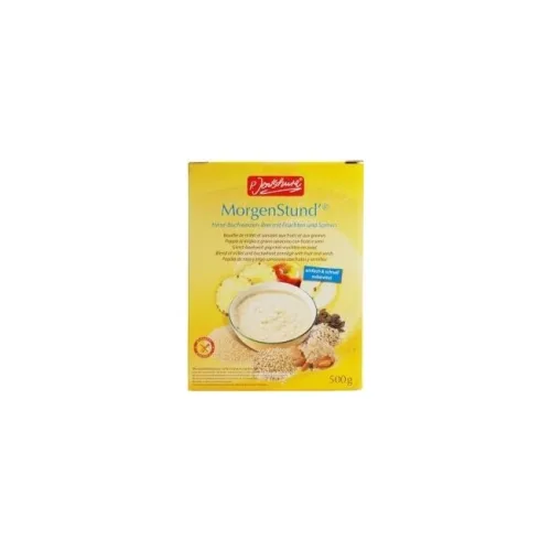 Jentschura MorgenStund kaszka z prosa i gryki z owocami i nasionami bezglutenowa 500 g