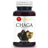 Chaga ekstrakt 90 kapsułek Yango